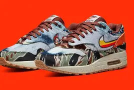 Nike Air Max 1 SP Concepts Heavy