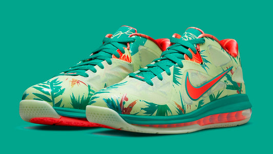 Nike LeBron 9 Low LeBronald Palmer (2022)